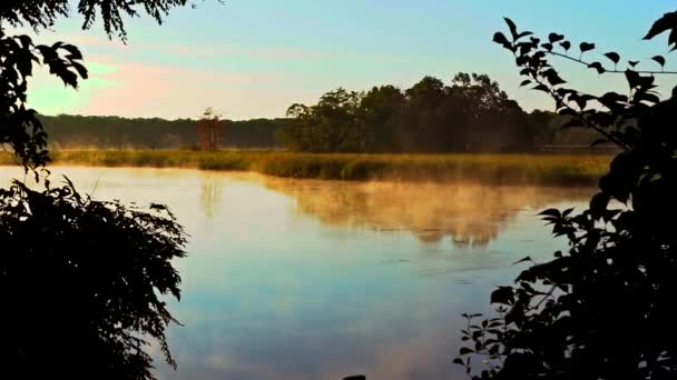 Brouillard et vapeur sur la forêt et le lac reflet des arbres dans l'eau — Video