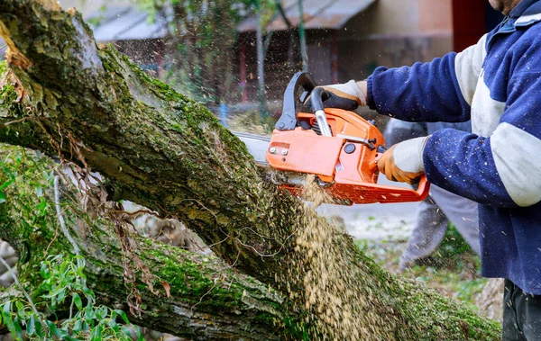 Άνθρωπος Κλαδεύει Κλαδιά Δέντρων Που Εργάζονται Στις Επιχειρήσεις Κοινής Ωφέλειας — Φωτογραφία Αρχείου