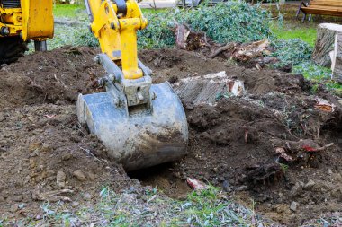Bahçedeki buldozer, eski ağaçlardan, köklerden ve dallardan şehir merkezindeki çapa makineleriyle arazi temizliyor..