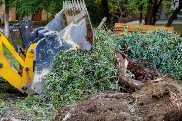 Escavatore Terra Compensazione Radici Rami Alberi Con Sporcizia Spazzatura Lavoro — Foto Stock