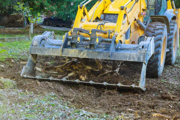 Utility Servizi Pubblici Municipali Puliscono Rami Albero Tolti Una Pulizia — Foto Stock