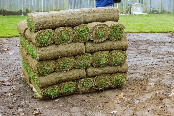 Stack Turf Grass Rolls Lawn Fresh Grass Decorate Landscape Design — Stock Photo, Image
