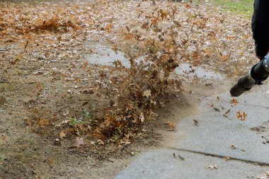 Yaprak üfleyicili bir adam bahçeye düşen sonbahar yaprakları bir rüzgar türbini