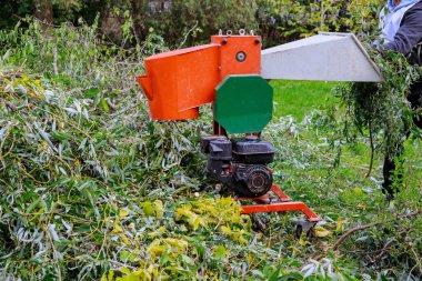 Wood chipper tree branches loaded cut green tree branches in urban neighborhood. clipart