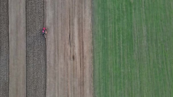 Traktor pflügt Felder und bereitet Land für die Aussaat vor — Stockvideo