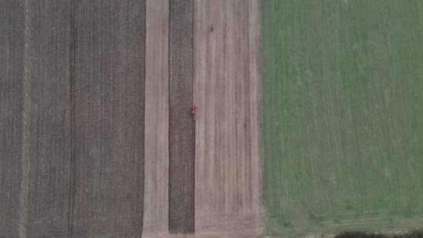 Agricultor que trabalha em trator preparando terras para sementeira — Vídeo de Stock