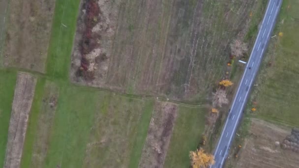 Zicht vanuit de lucht op groene landbouwgrond van het van bovenaf bebouwde platteland — Stockvideo
