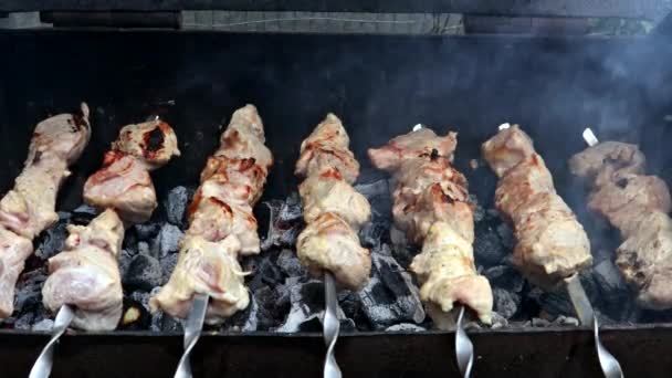 Vista di spiedini di carne bianca alla griglia in un barbecue. — Video Stock