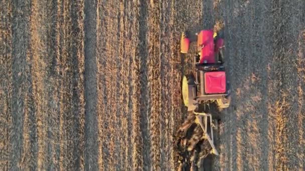 Farmář v traktoru při práci připravuje ornou půdu se zemědělským polem — Stock video