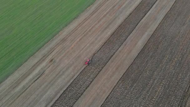Preparação de terras para sementeira em lavoura com trator vermelho — Vídeo de Stock