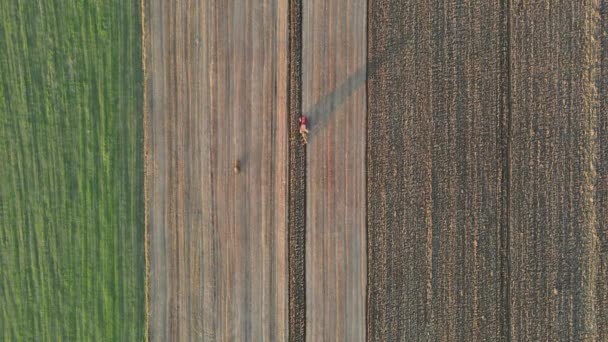 Vista aérea do agricultor de campo agrícola em trator no trabalho de preparação de terras aráveis — Vídeo de Stock