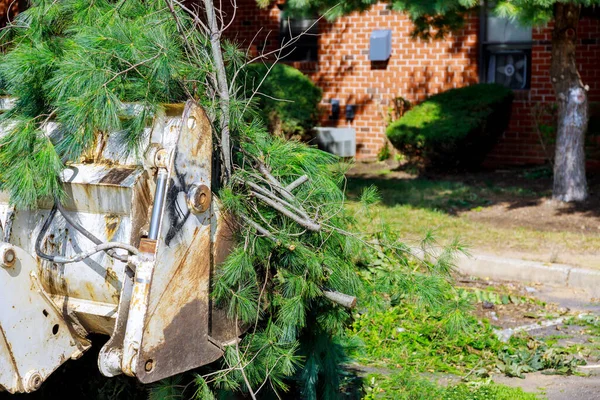 Escavatore Terra Compensazione Radici Rami Alberi Con Sporcizia Spazzatura Lavoro — Foto Stock