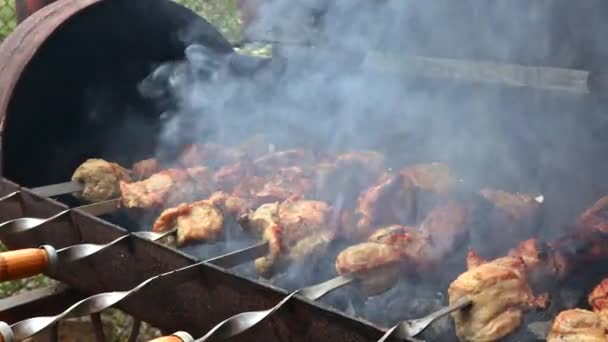 Deliciosa carne a la parrilla en brochetas de metal se asa con carbón quemado. — Vídeos de Stock
