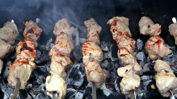 Шашлыки барбекю аппетитные мясо гриль на открытом воздухе в мясо шашлык на шампуры на открытом воздухе. — стоковое видео