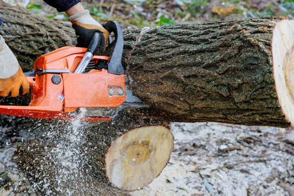 Mann Schlägt Baum Mit Kettensäge Nieder Sturz Verhindern — Stockfoto