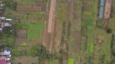 Taze yeşil tarlalar ve köy manzarası