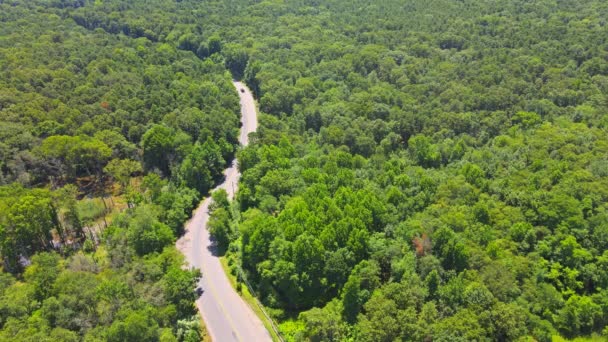 Luftaufnahme einer Landstraße, die durch den grünen Wald einer Provinzstraße führt — Stockvideo