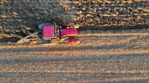 Traktorművelő mező tavasszal, szántóföld légi felvételen — Stock videók