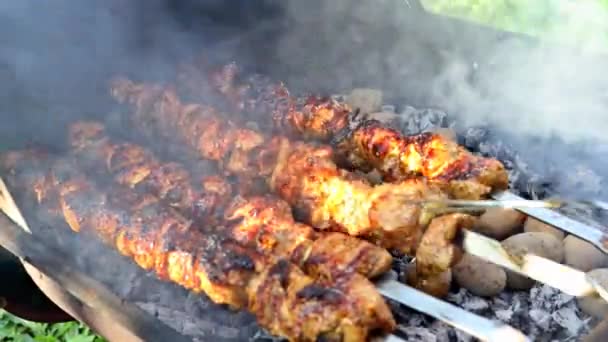 Барбекю шашлык с мясом шашлык с грилем — стоковое видео