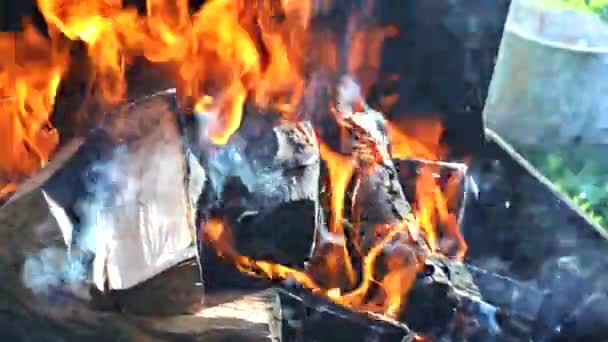 Fuego, llamas de madera brasa para parrilla barbacoa leña — Vídeos de Stock