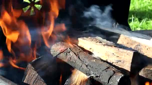 Pálení dřeva na grilu žhnoucí táborák uhlíky v horké hořící dřevěné klády oheň — Stock video