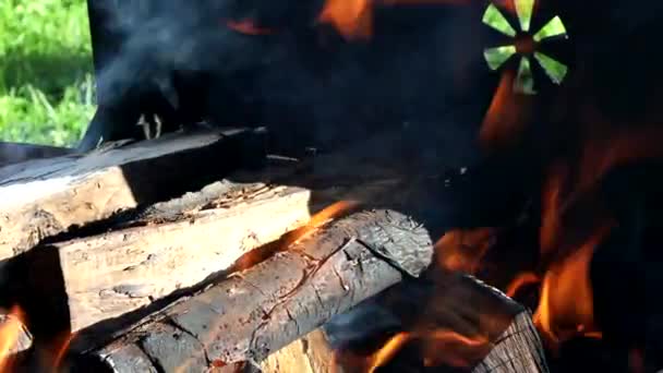 가마 위에서 타고 있는 뜨거운 장작더미처럼 타오르는 나무토막 — 비디오