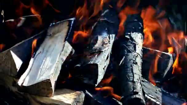 V grilu hoří dřevo na podpal na grilu — Stock video