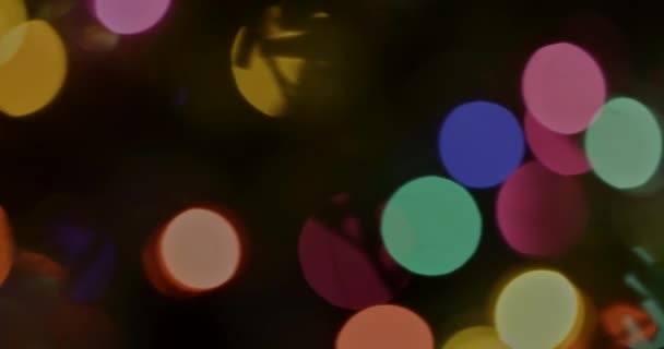圣诞假期灯火通明的树 — 图库视频影像