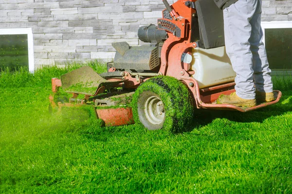 Memotong Rumput Berkebun Sendiri Halaman Rumah Dengan Mesin Pemotong Rumput — Stok Foto
