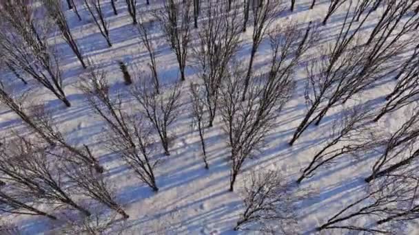 눈으로 덮인 산의 겨울 풍경의 아름다운 경치 — 비디오