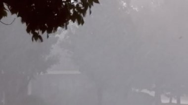 Yağmurlu havada asfalt üzerinde hava manzaralı su birikintileri..