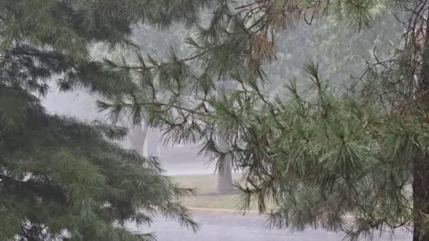 Дощ навесні на житловому кварталі вулиця дощова погода розбризкує калюжі . — стокове відео