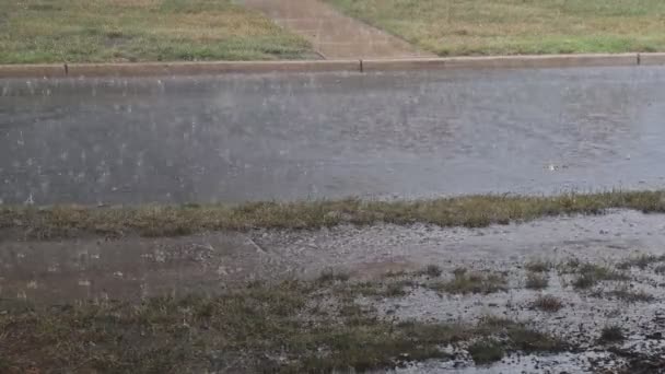 Gotas de chuva de vista meteorológica na primavera de poças de chuva de rua residenciais. — Vídeo de Stock