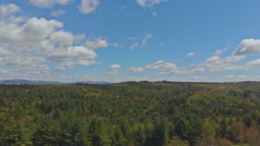 Pocono dağları yaz yeşil çimenler ve mavi gökyüzü manzarası