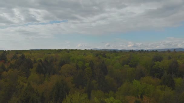 Pocono hory Pensylvánie krajina se zeleným lesem — Stock video