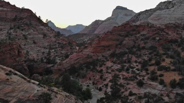 Panoramik manzara, geniş format Zion Canyon Ulusal Parkı, ABD — Stok video