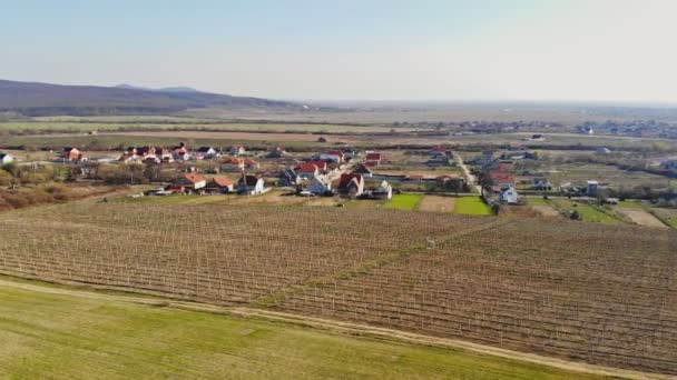 Panorama aéreo de drones de viñedos y campos agrícolas en Ucrania Zakarpattya — Vídeos de Stock