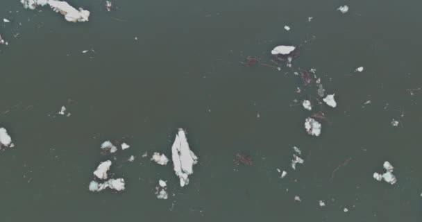 La dérive de la glace sur la rivière au début du printemps de la glace flotte le long du cours d'eau — Video