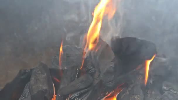 炭は灰の中で熱い燃焼石炭を焼くための準備 — ストック動画