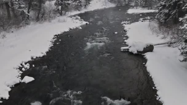 Vista aerea scena invernale innevata con nevicata al fiume Yellowstone, inverno, Parco Nazionale di Yellowstone — Video Stock