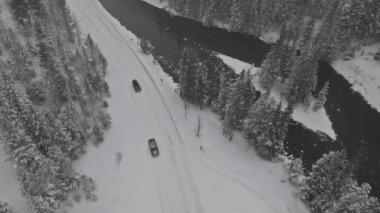 Karlı bir kış Yellowstone nehrinde, karlı bir günde, çam ağaçlarıyla.