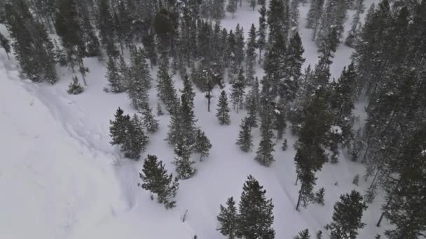 Mysterieus fantastisch winter panoramisch landschap met besneeuwd bos in zware sneeuwval, vanuit de lucht — Stockvideo