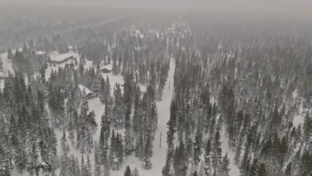 Winterweg, verschneiter Waldweg starker Schneefall — Stockvideo