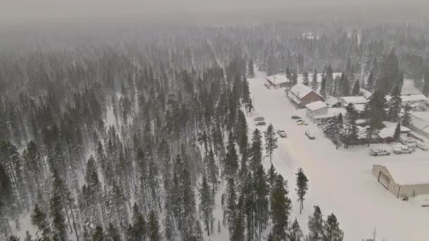 Вид сверху с воздуха зимний панорамный пейзаж со снежным лесом в сильный снегопад — стоковое видео