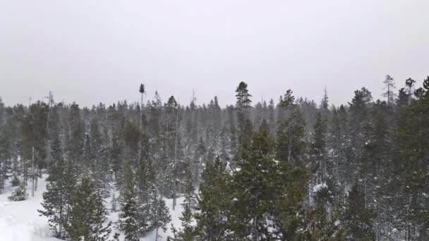 Misterioso fantastico paesaggio panoramico invernale con foresta innevata in nevicate abbondanti, vista aerea — Video Stock