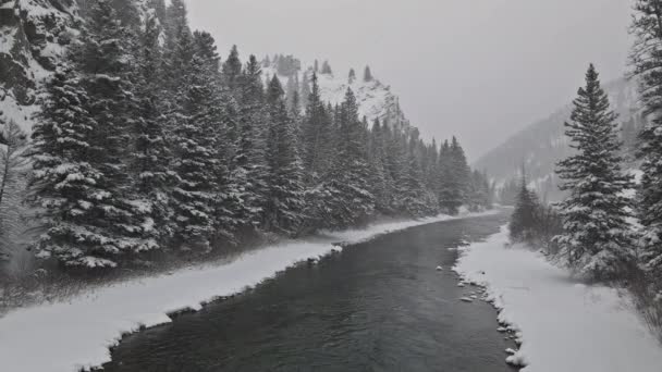 Fiume North Yellowstone con nevicate — Video Stock