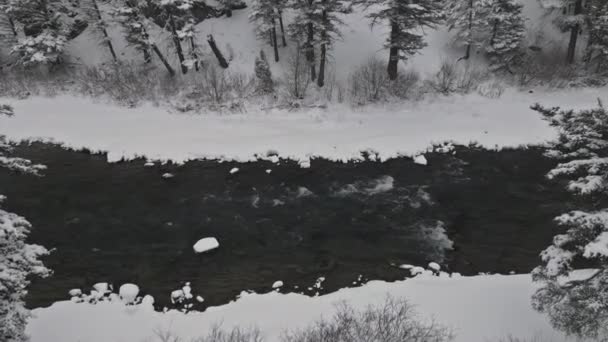 Río Yellowstone, invierno, Parque Nacional Yellowstone con nevadas — Vídeo de stock