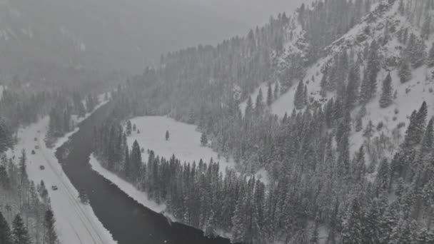 Inverno innevato scena di montagna fiume Yellowstone su nevicate con pini innevati — Video Stock