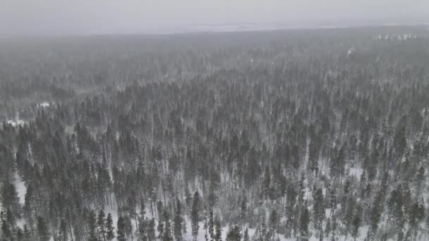 Vue aérienne de la forêt une forte chute de neige conditions météorologiques hivernales sévères — Video