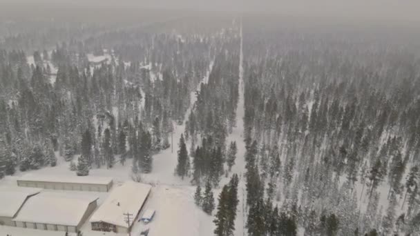 Winterweg, verschneiter Waldweg starker Schneefall — Stockvideo